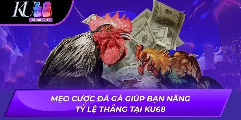 Mẹo cược đá gà giúp bạn nâng tỷ lệ thắng tại Ku68
